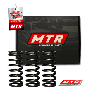 Jogo De Molas P/ Válvulas Vw Ap Mecânico Mtr Curta