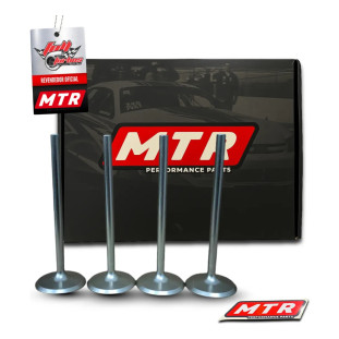 Válvula Admissâo Mtr Blank Inox 42mm X 8mm X 120mm Ap